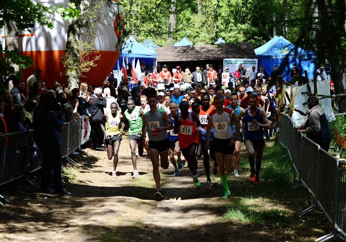 Grafika 1: XXXV Ogólnopolski Otwarty Bieg Przełajowy  o „Puchar Leśny” pamięci Tomasza Hopfera Jedyny w swoim Rodzaju elitarny bieg w Polsce. Powalczymy 28 maja 2017 w Obliwicach.