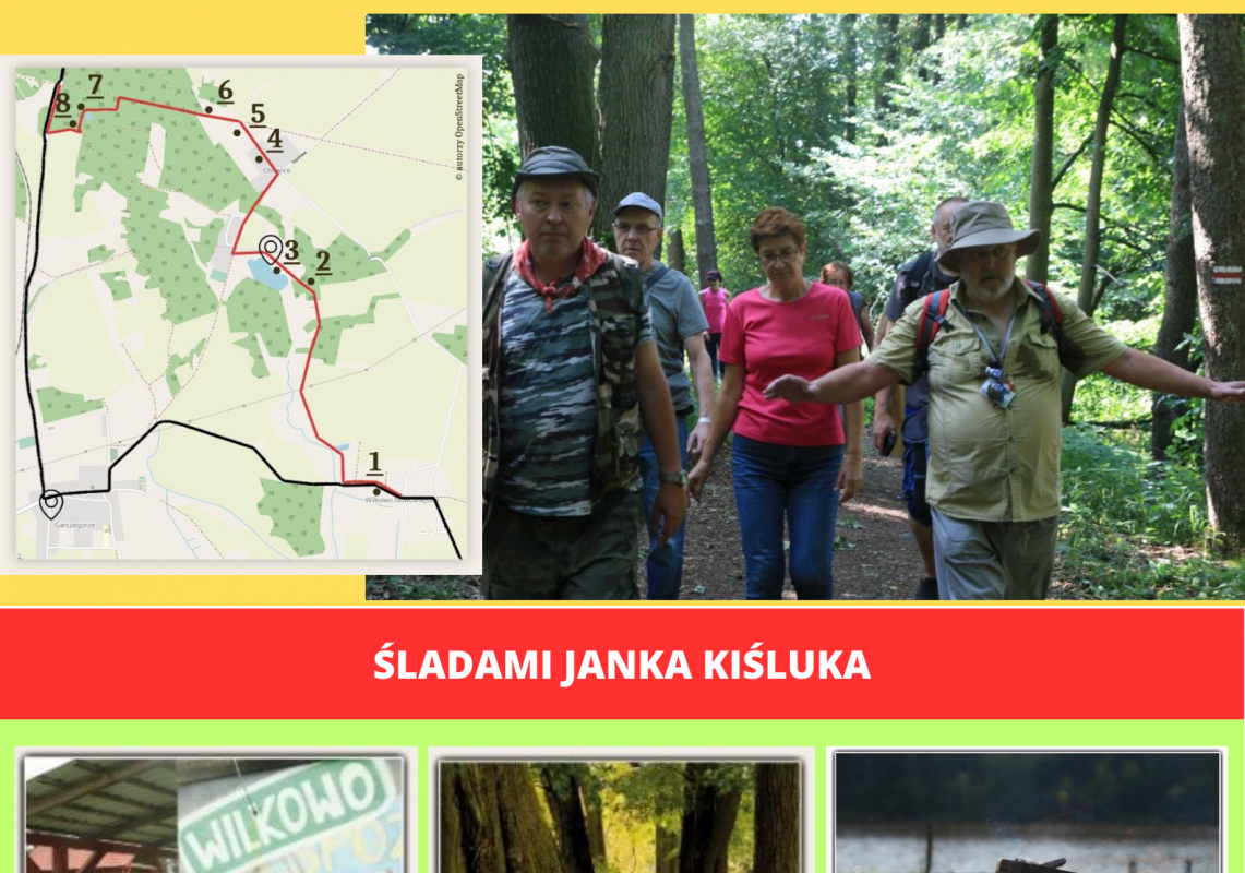 Grafika dekoracyjna grafika