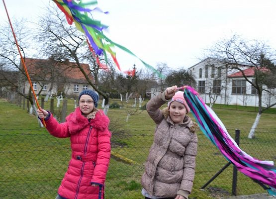 Grafika 1: Marzanna 2017