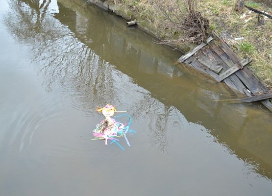 Grafika 17: Marzanna 2017