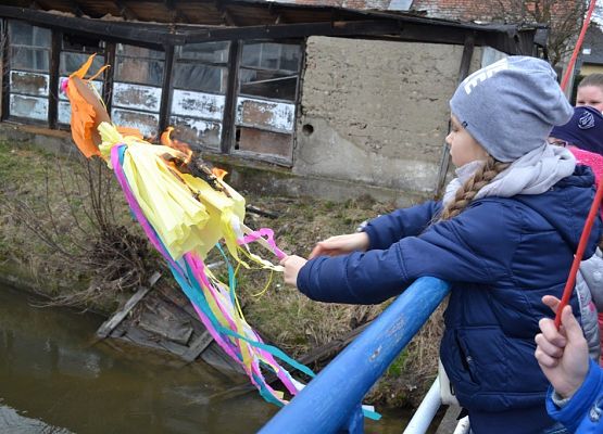 Grafika 27: Marzanna 2017