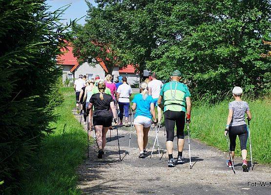 Grafika 9: I Nordic Walking w ramach Pucharu Korony Maratonu Ekologicznego Ledziechowo