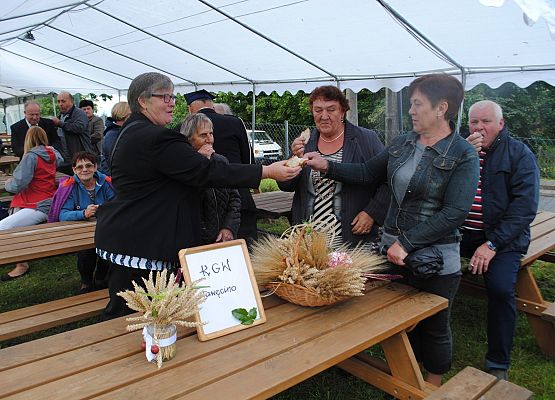 Grafika 24: Dożynki Gminne w Tawęcinie już za nami