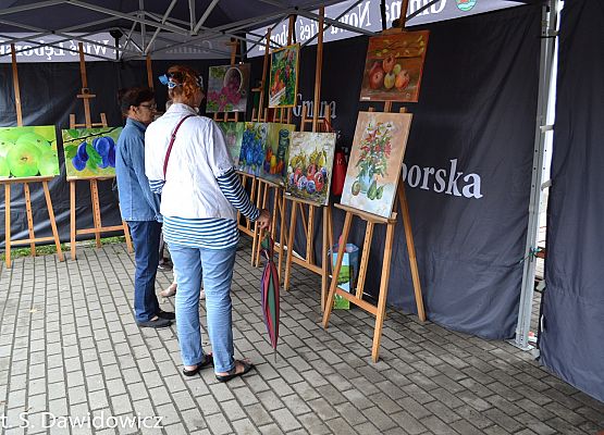 Grafika 77: Wernisaż poplenerowy "MARTWA NATURA"