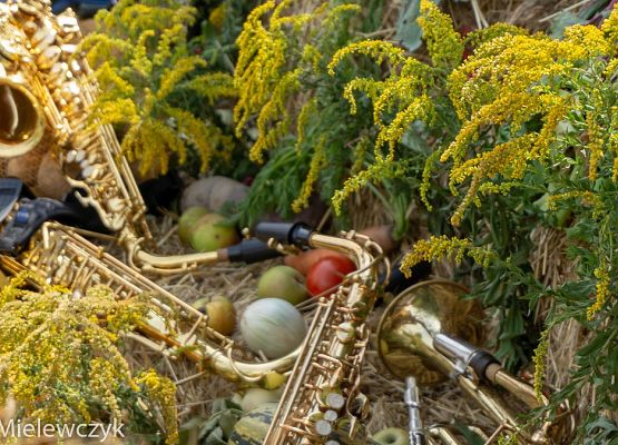 Grafika 18: Dożynki Parafialne w Garczegorzu - fotorelacja