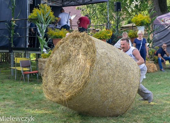 Grafika 47: Dożynki Parafialne w Garczegorzu - fotorelacja
