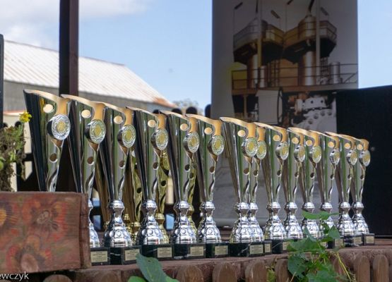 Grafika 3: FESTYN EKOLOGICZNO – HISTORYCZNY „BIESIADA EKOLOGICZNA” X Pomorski Turniej Rycerzy Łuczników VII Grand Prix Nordic Walking o Puchar Wójta Gminy Nowa Wieś Lęborska.