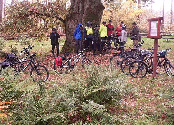 Grafika 7: Relacja z rajdu "Pocztylion