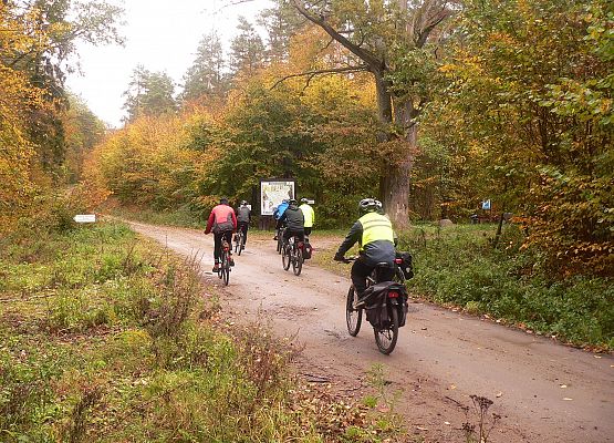 Grafika 9: Relacja z rajdu "Pocztylion