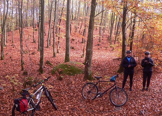 Grafika 10: Relacja z rajdu "Pocztylion