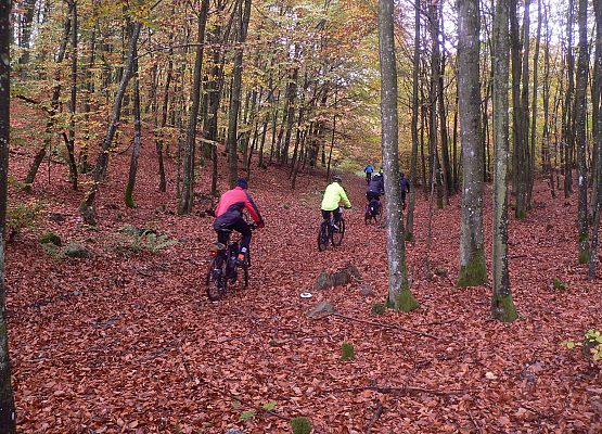 Grafika 12: Relacja z rajdu "Pocztylion