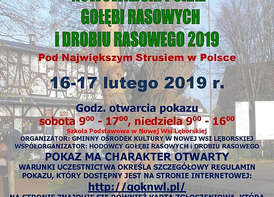 Grafika 1: Zapraszany na NOWOWIEJSKI POKAZ GOŁĘBI RASOWYCH I DROBIU RASOWEGO 2019