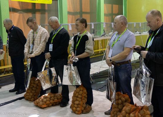 Grafika 15: III NOWOWIEJSKI POKAZ GOŁĘBII RASOWYCH I DROBIU RASOWEGO - RELACJA