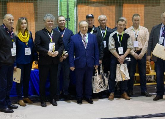 Grafika 21: III NOWOWIEJSKI POKAZ GOŁĘBII RASOWYCH I DROBIU RASOWEGO - RELACJA