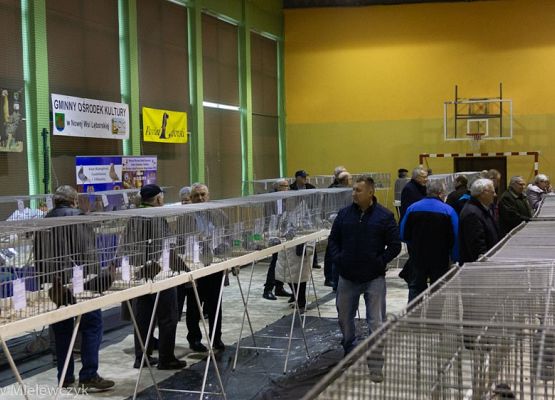 Grafika 26: III NOWOWIEJSKI POKAZ GOŁĘBII RASOWYCH I DROBIU RASOWEGO - RELACJA