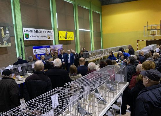 Grafika 32: III NOWOWIEJSKI POKAZ GOŁĘBII RASOWYCH I DROBIU RASOWEGO - RELACJA