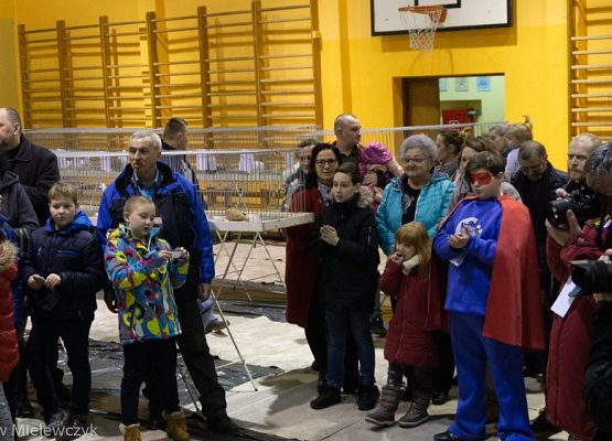 Grafika 35: III NOWOWIEJSKI POKAZ GOŁĘBII RASOWYCH I DROBIU RASOWEGO - RELACJA