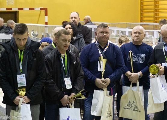 Grafika 36: III NOWOWIEJSKI POKAZ GOŁĘBII RASOWYCH I DROBIU RASOWEGO - RELACJA