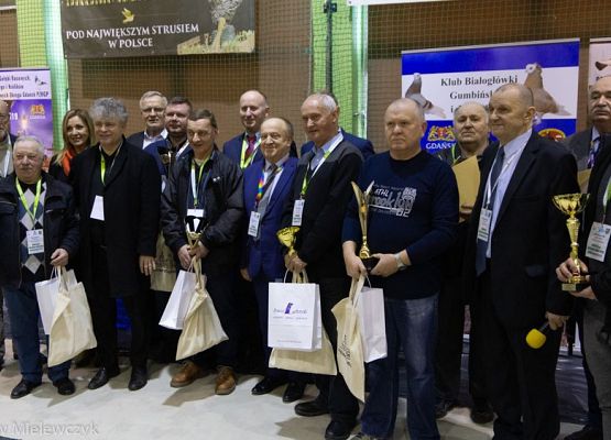 Grafika 40: III NOWOWIEJSKI POKAZ GOŁĘBII RASOWYCH I DROBIU RASOWEGO - RELACJA