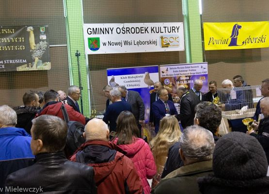 Grafika 43: III NOWOWIEJSKI POKAZ GOŁĘBII RASOWYCH I DROBIU RASOWEGO - RELACJA