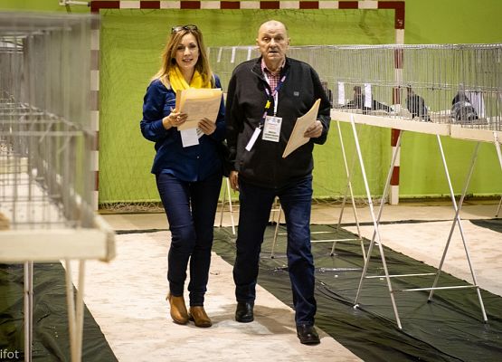 Grafika 3: III NOWOWIEJSKI POKAZ GOŁĘBII RASOWYCH I DROBIU RASOWEGO - FOTORELACJA WIFOT