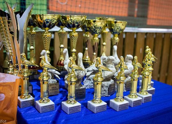 Grafika 7: III NOWOWIEJSKI POKAZ GOŁĘBII RASOWYCH I DROBIU RASOWEGO - FOTORELACJA WIFOT