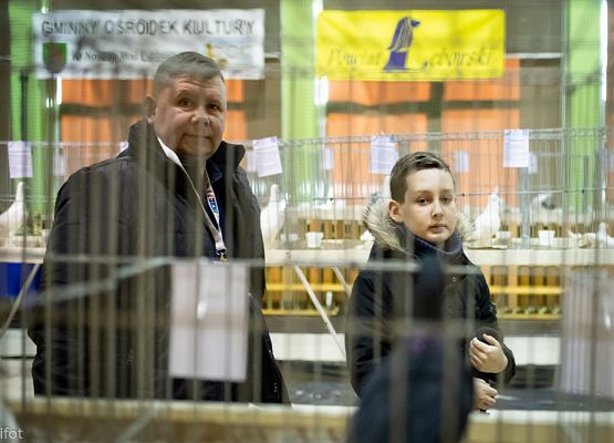 Grafika 16: III NOWOWIEJSKI POKAZ GOŁĘBII RASOWYCH I DROBIU RASOWEGO - FOTORELACJA WIFOT