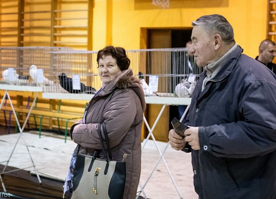 Grafika 26: III NOWOWIEJSKI POKAZ GOŁĘBII RASOWYCH I DROBIU RASOWEGO - FOTORELACJA WIFOT