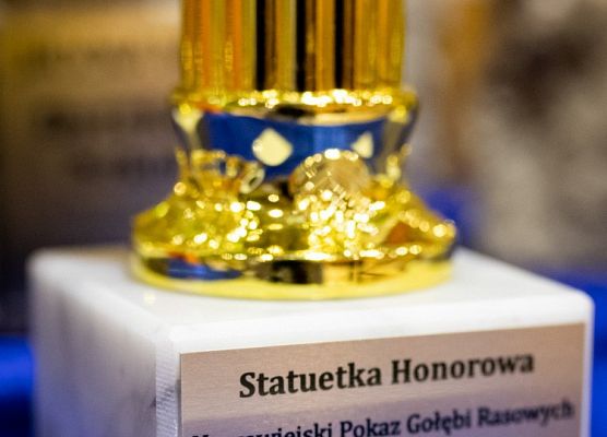 Grafika 38: III NOWOWIEJSKI POKAZ GOŁĘBII RASOWYCH I DROBIU RASOWEGO - FOTORELACJA WIFOT