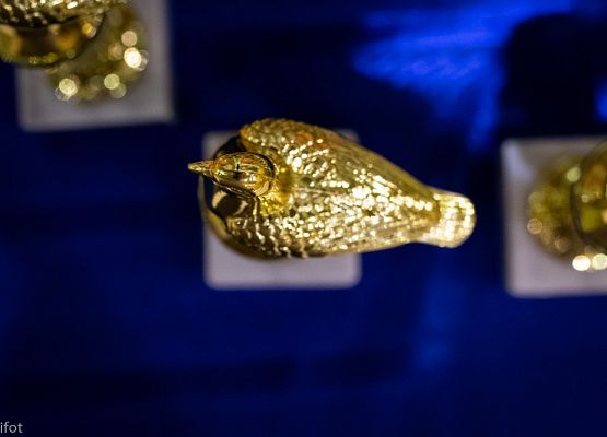 Grafika 40: III NOWOWIEJSKI POKAZ GOŁĘBII RASOWYCH I DROBIU RASOWEGO - FOTORELACJA WIFOT