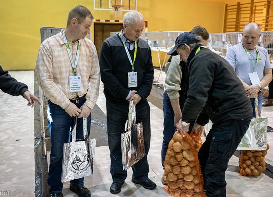 Grafika 52: III NOWOWIEJSKI POKAZ GOŁĘBII RASOWYCH I DROBIU RASOWEGO - FOTORELACJA WIFOT