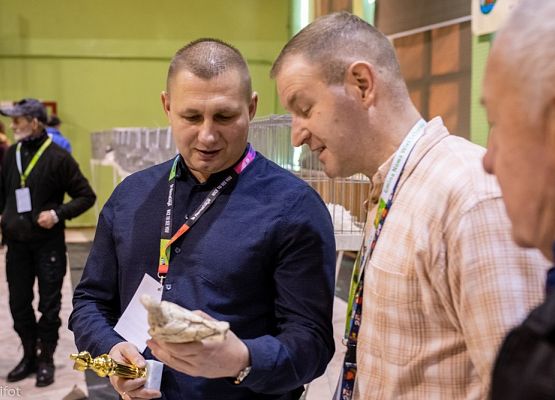 Grafika 68: III NOWOWIEJSKI POKAZ GOŁĘBII RASOWYCH I DROBIU RASOWEGO - FOTORELACJA WIFOT