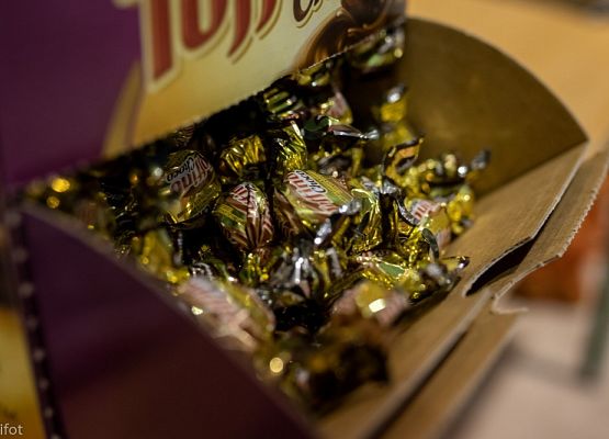 Grafika 74: III NOWOWIEJSKI POKAZ GOŁĘBII RASOWYCH I DROBIU RASOWEGO - FOTORELACJA WIFOT