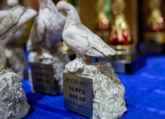 Grafika 82: III NOWOWIEJSKI POKAZ GOŁĘBII RASOWYCH I DROBIU RASOWEGO - FOTORELACJA WIFOT