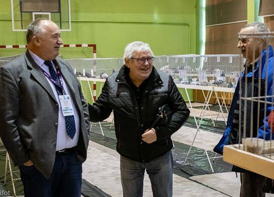 Grafika 91: III NOWOWIEJSKI POKAZ GOŁĘBII RASOWYCH I DROBIU RASOWEGO - FOTORELACJA WIFOT