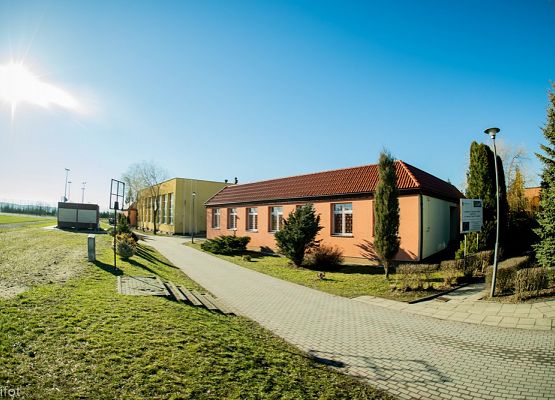 Grafika 102: III NOWOWIEJSKI POKAZ GOŁĘBII RASOWYCH I DROBIU RASOWEGO - FOTORELACJA WIFOT