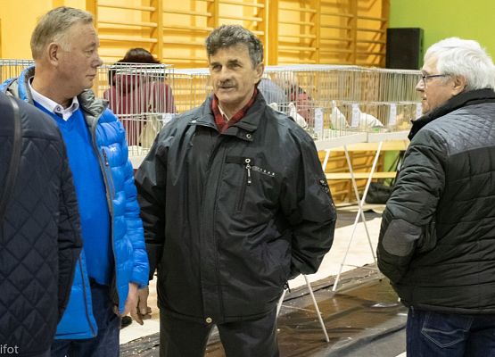 Grafika 107: III NOWOWIEJSKI POKAZ GOŁĘBII RASOWYCH I DROBIU RASOWEGO - FOTORELACJA WIFOT