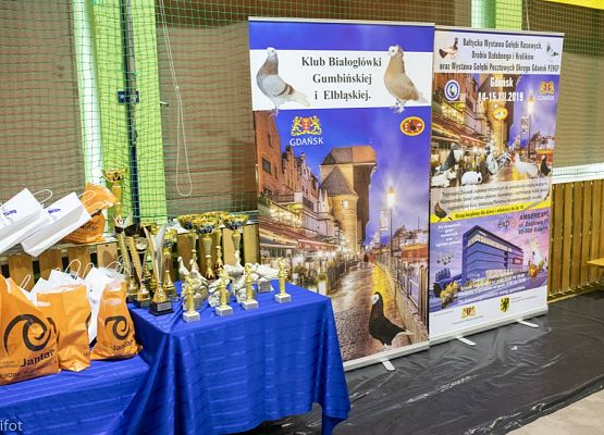 Grafika 106: III NOWOWIEJSKI POKAZ GOŁĘBII RASOWYCH I DROBIU RASOWEGO - FOTORELACJA WIFOT