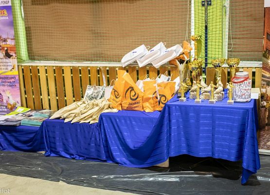 Grafika 111: III NOWOWIEJSKI POKAZ GOŁĘBII RASOWYCH I DROBIU RASOWEGO - FOTORELACJA WIFOT