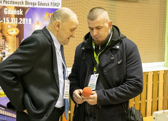 Grafika 112: III NOWOWIEJSKI POKAZ GOŁĘBII RASOWYCH I DROBIU RASOWEGO - FOTORELACJA WIFOT