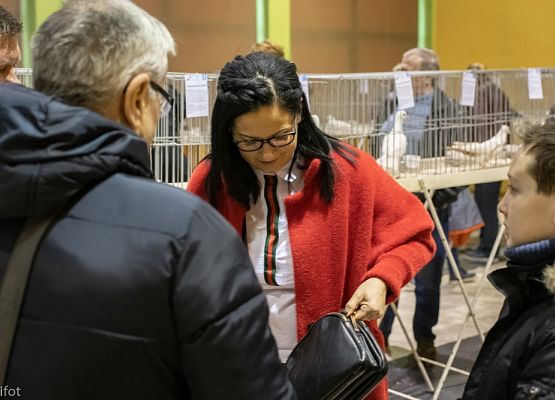 Grafika 113: III NOWOWIEJSKI POKAZ GOŁĘBII RASOWYCH I DROBIU RASOWEGO - FOTORELACJA WIFOT