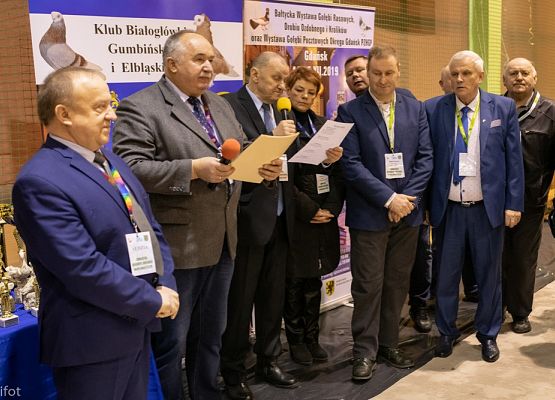 Grafika 121: III NOWOWIEJSKI POKAZ GOŁĘBII RASOWYCH I DROBIU RASOWEGO - FOTORELACJA WIFOT