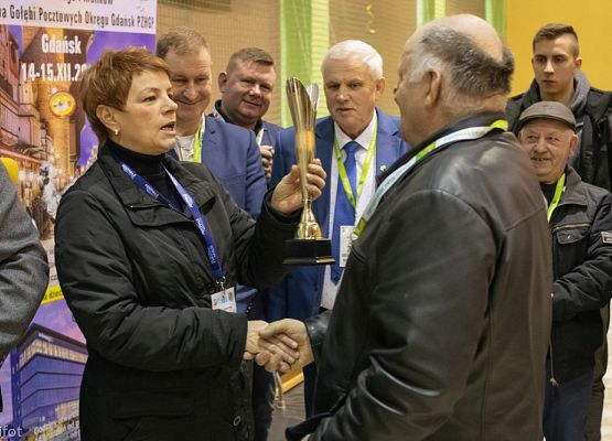 Grafika 129: III NOWOWIEJSKI POKAZ GOŁĘBII RASOWYCH I DROBIU RASOWEGO - FOTORELACJA WIFOT