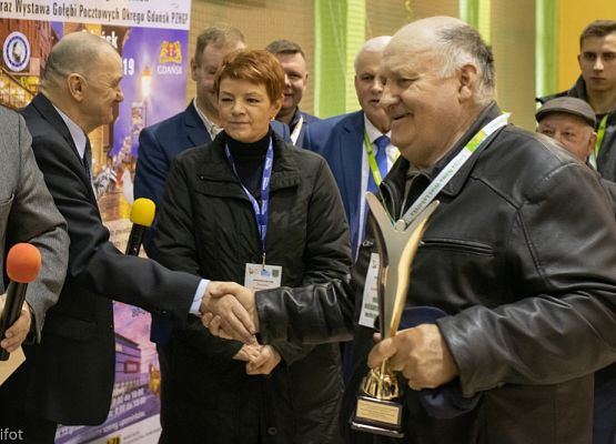 Grafika 131: III NOWOWIEJSKI POKAZ GOŁĘBII RASOWYCH I DROBIU RASOWEGO - FOTORELACJA WIFOT