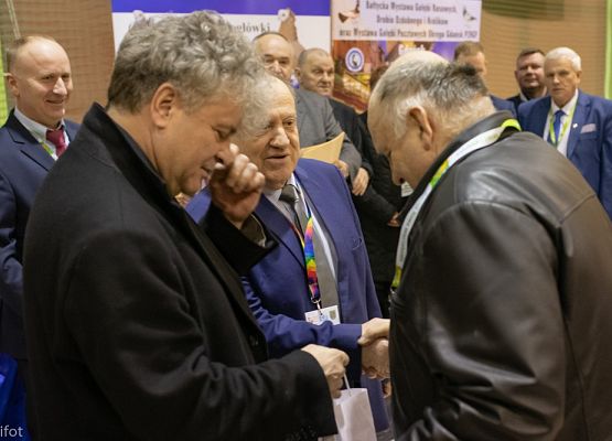 Grafika 135: III NOWOWIEJSKI POKAZ GOŁĘBII RASOWYCH I DROBIU RASOWEGO - FOTORELACJA WIFOT