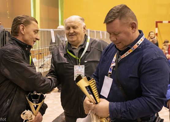 Grafika 141: III NOWOWIEJSKI POKAZ GOŁĘBII RASOWYCH I DROBIU RASOWEGO - FOTORELACJA WIFOT