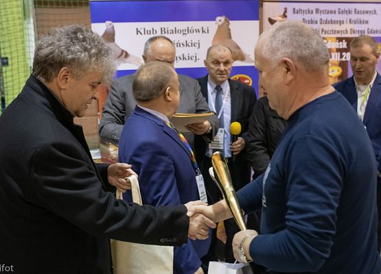 Grafika 143: III NOWOWIEJSKI POKAZ GOŁĘBII RASOWYCH I DROBIU RASOWEGO - FOTORELACJA WIFOT