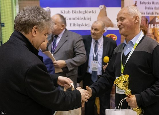 Grafika 145: III NOWOWIEJSKI POKAZ GOŁĘBII RASOWYCH I DROBIU RASOWEGO - FOTORELACJA WIFOT