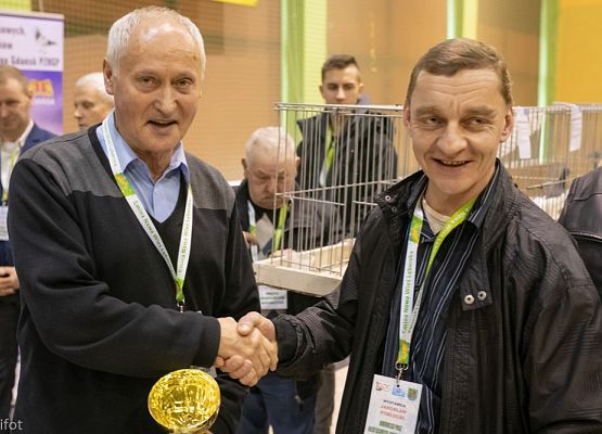 Grafika 146: III NOWOWIEJSKI POKAZ GOŁĘBII RASOWYCH I DROBIU RASOWEGO - FOTORELACJA WIFOT