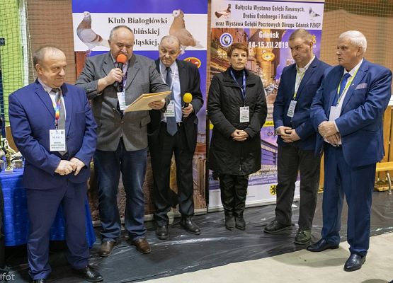Grafika 148: III NOWOWIEJSKI POKAZ GOŁĘBII RASOWYCH I DROBIU RASOWEGO - FOTORELACJA WIFOT